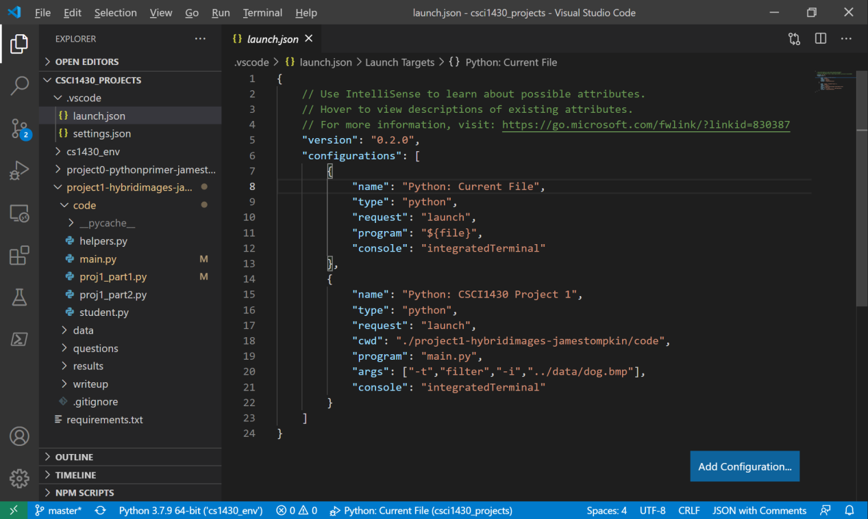 VSCode launch.json within the typical setup.