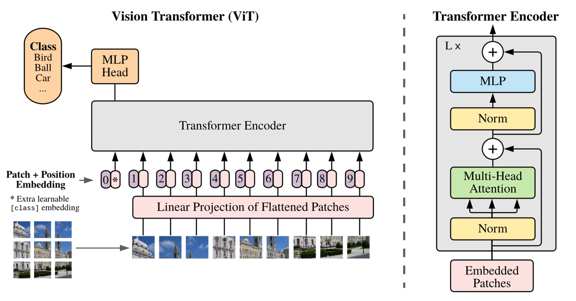 Vision Transformer (ViT) architecture.